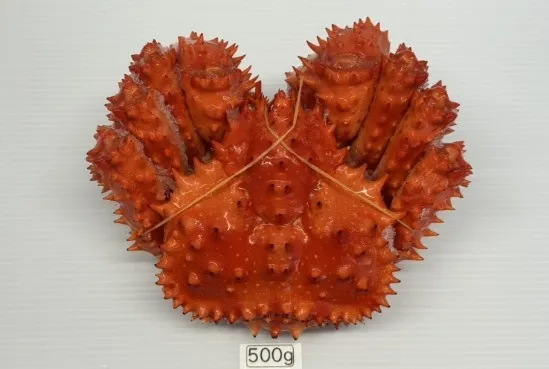 浜中産花咲ガニ/浜茹で急速冷凍(400g～600g)